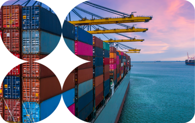 Economic Update