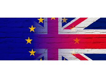 Beyond Brexit Guide